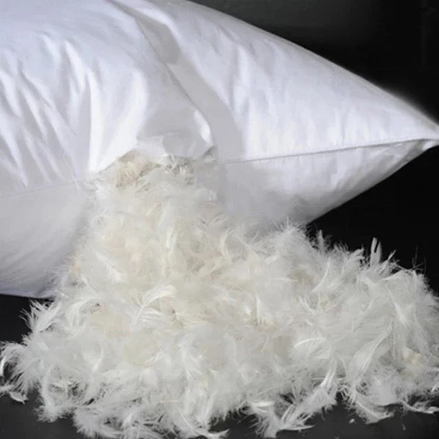 Luxurious Feather Down Pillow Insert - Soft and Plush